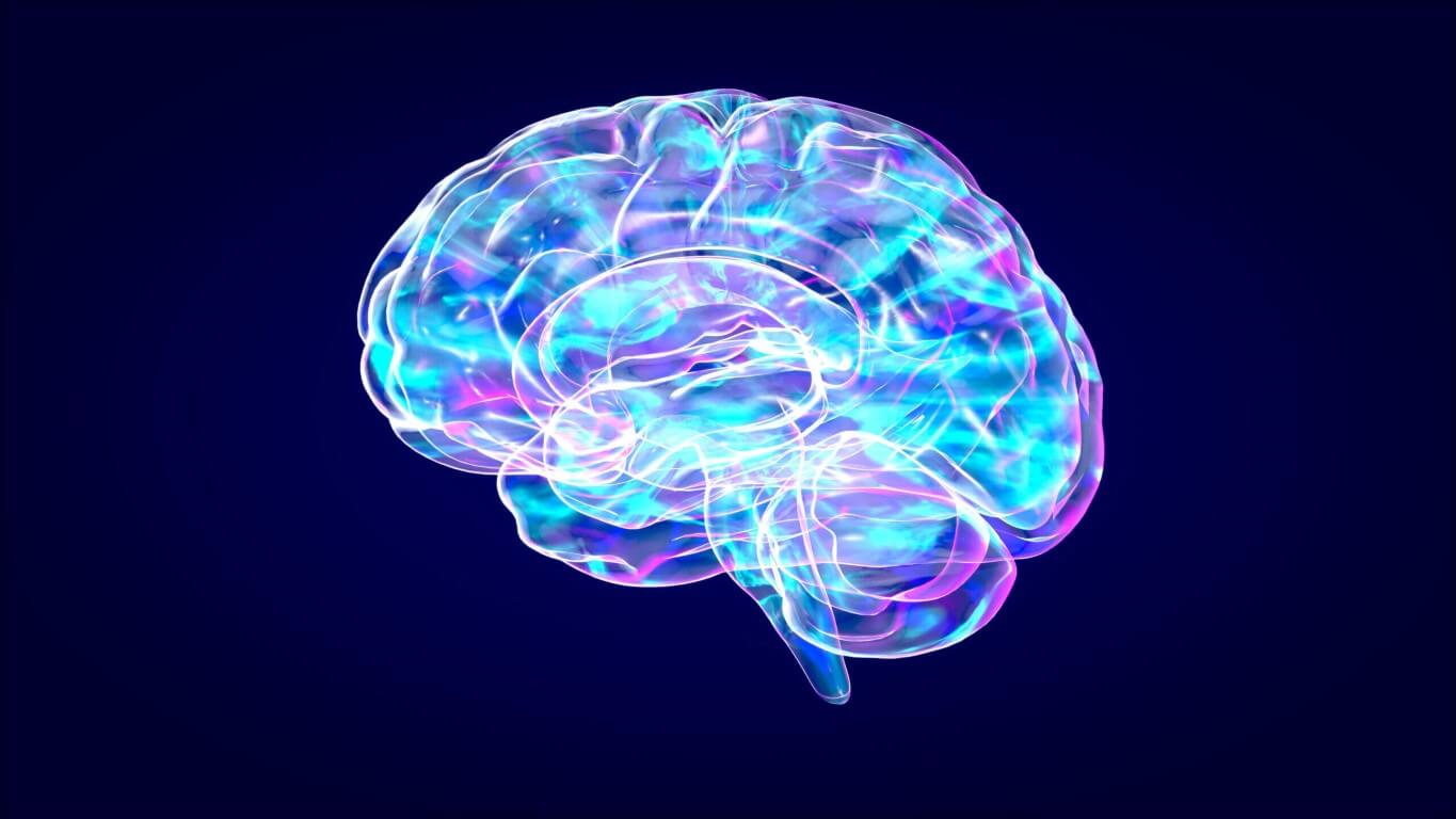 Cognitive Performance and the crucial role stress plays