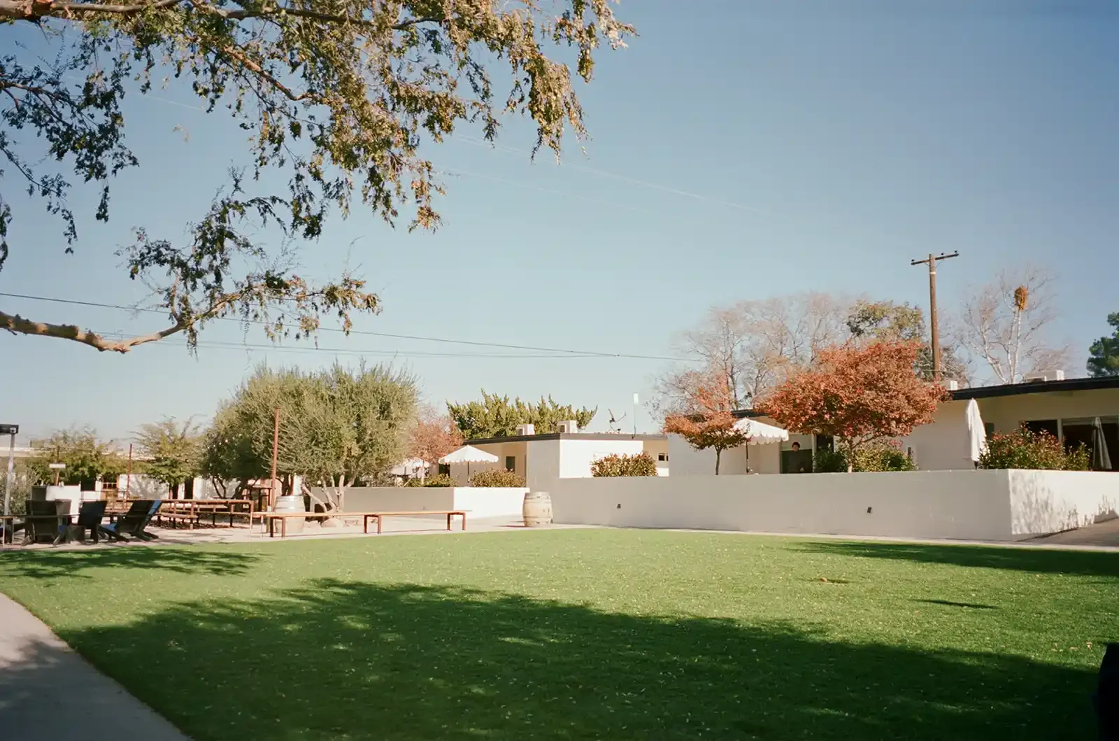 Cuyama Buckhorn