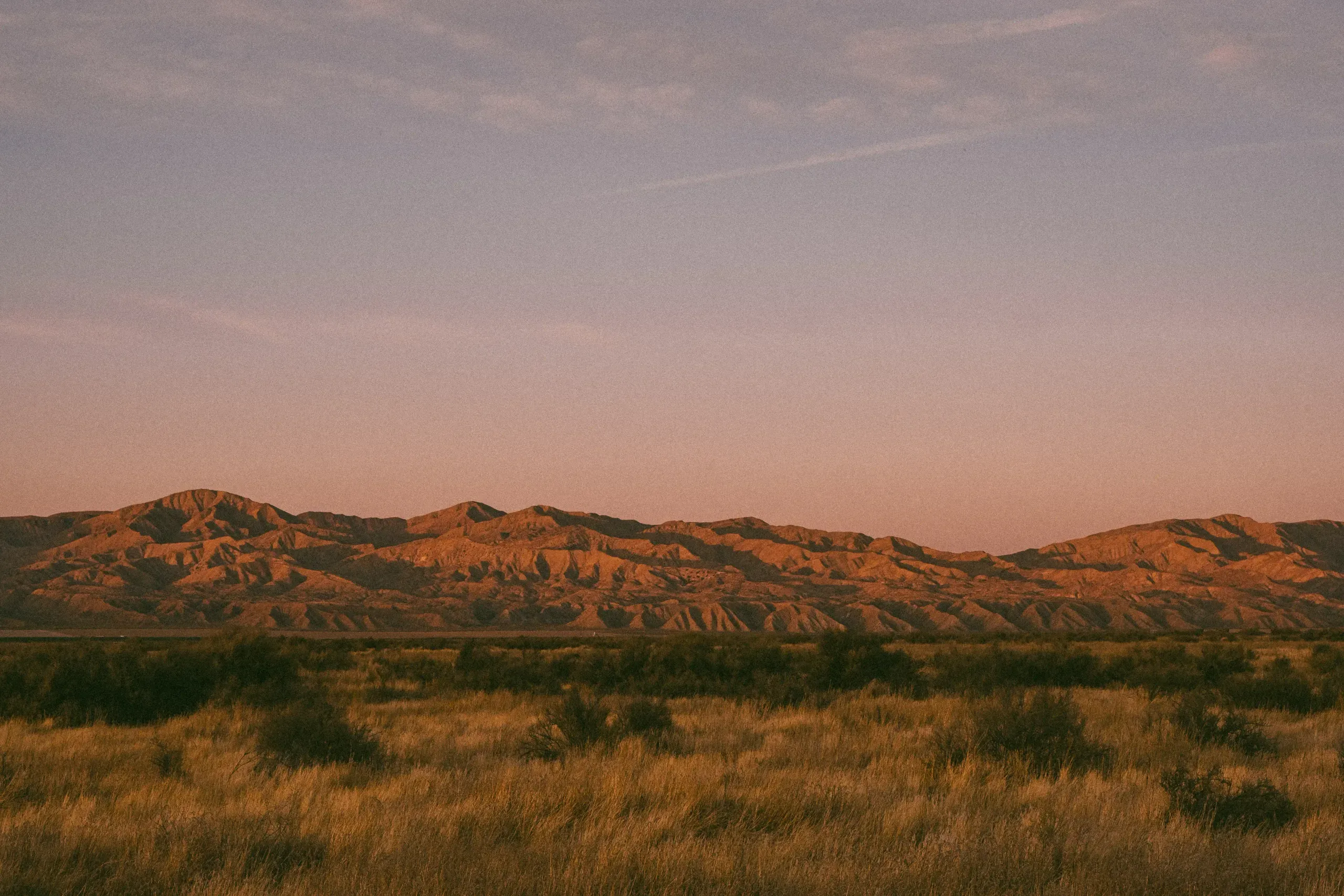 Cuyama Buckhorn