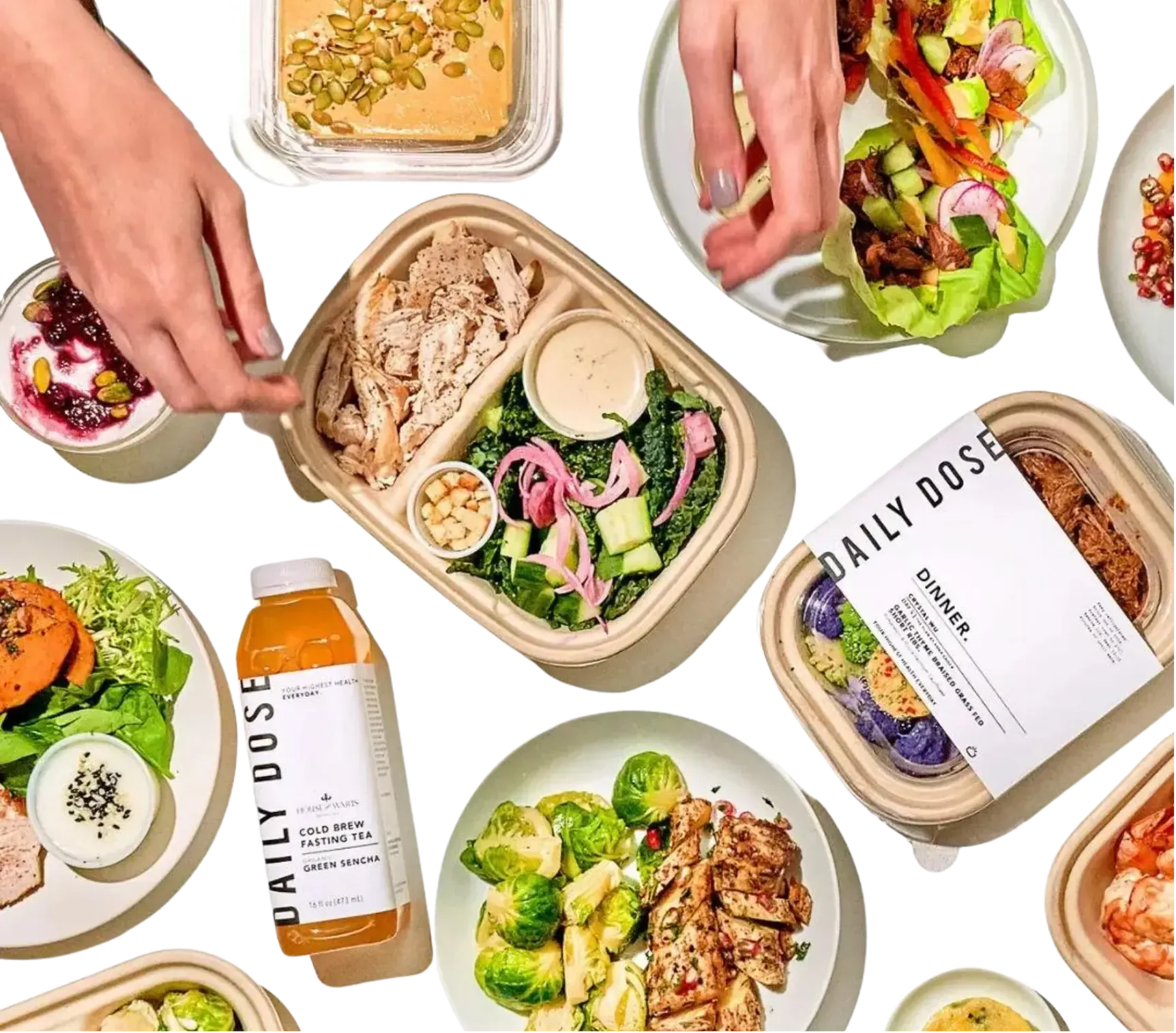 Daily Dose Banner