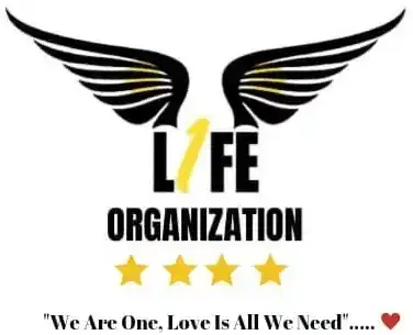 L1FE Organization