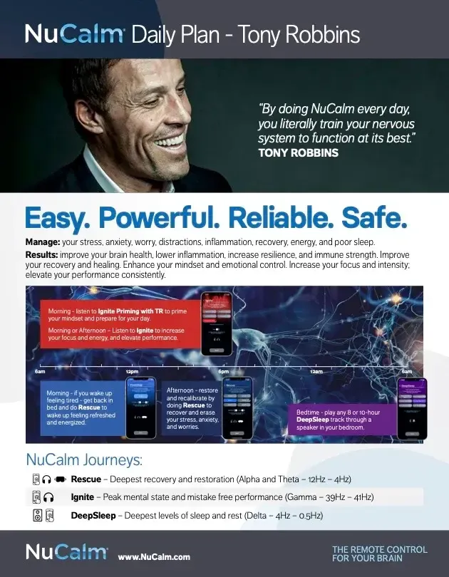 Daily Plan + How to Use Guide