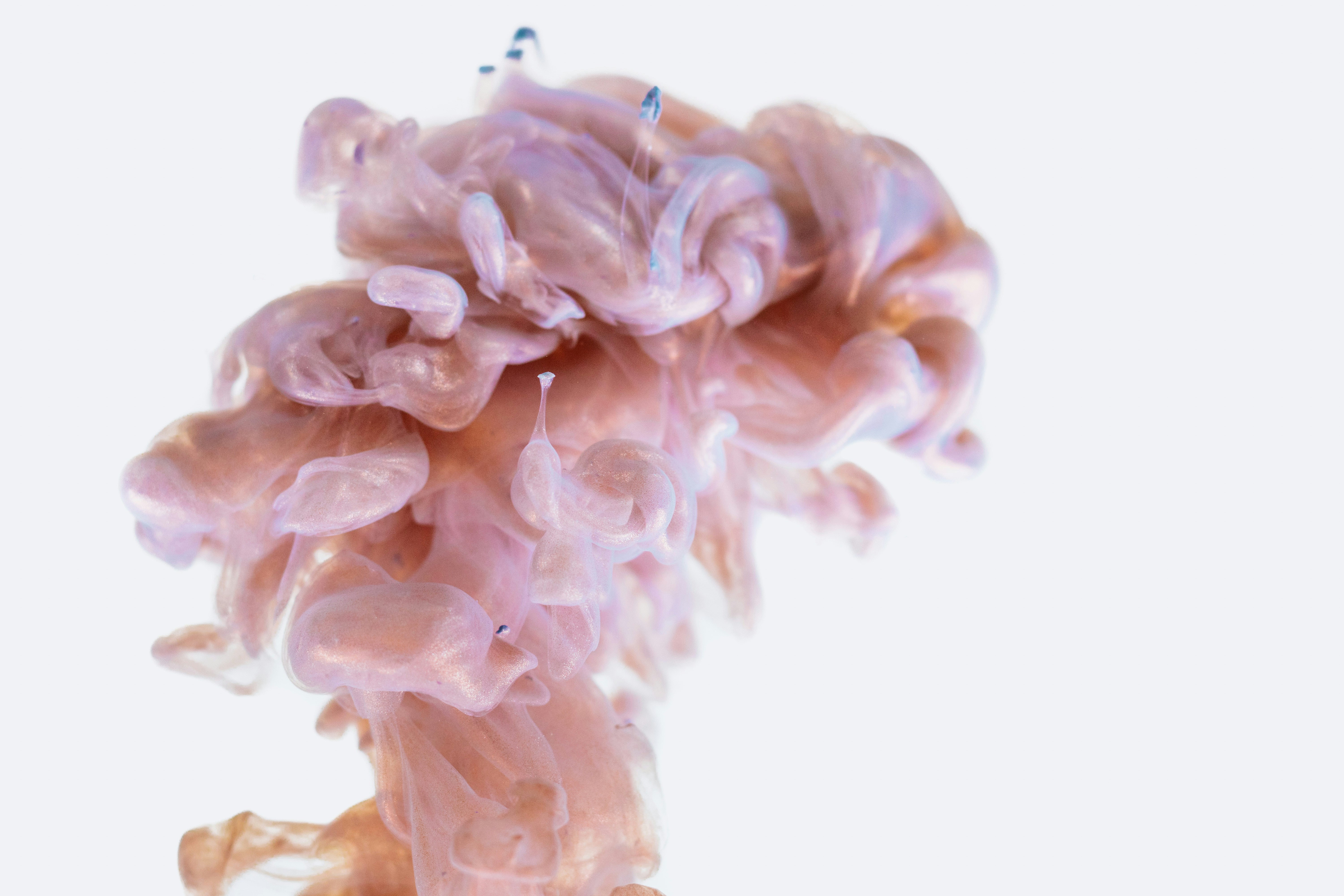 Can Chronic Stress Be Cured? Understanding Chronic Stress.
