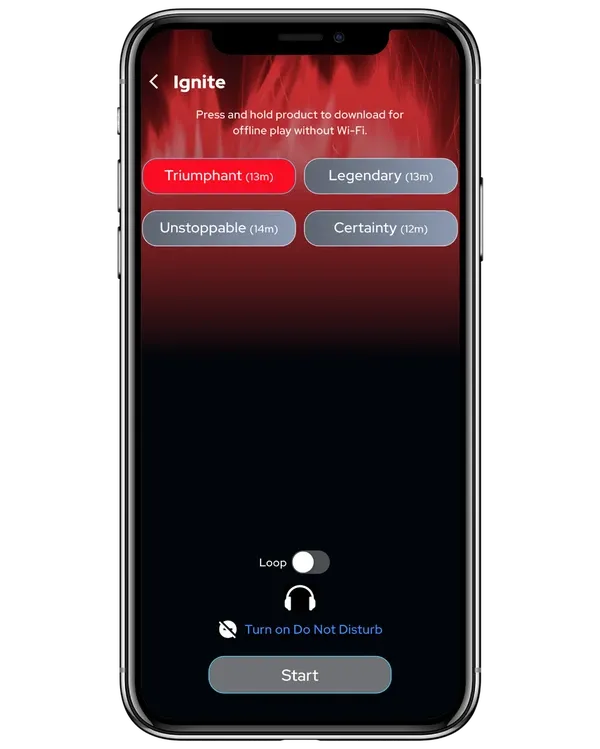 How to use Ignite