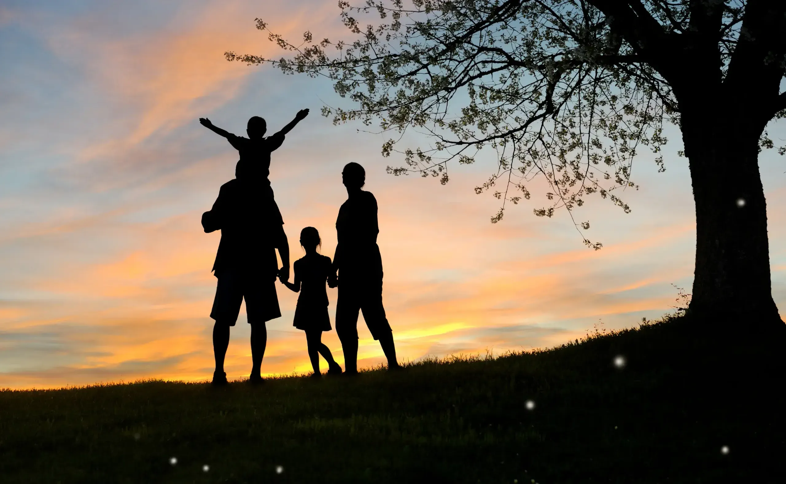 Family in the park