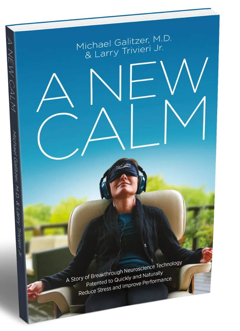 A New Calm - book