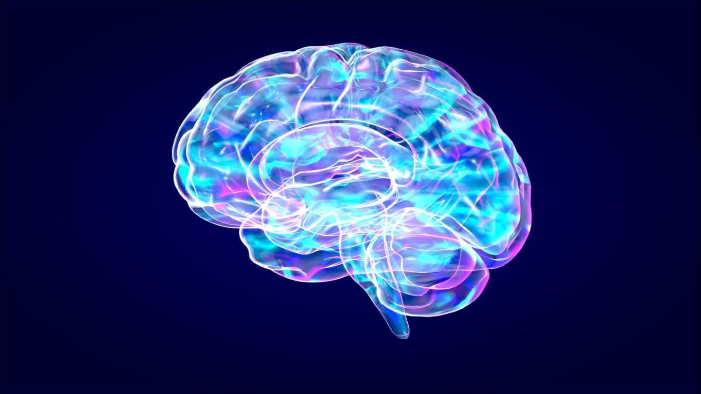 Cognitive Performance and the crucial role stress plays