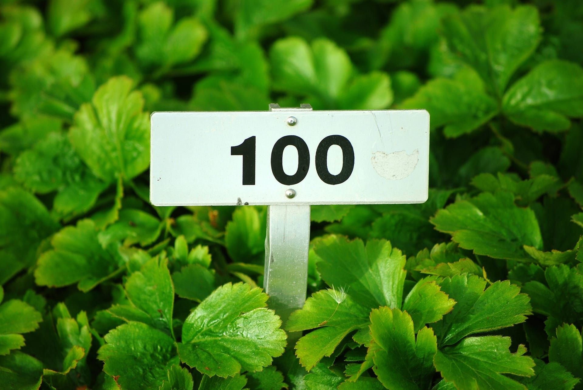 100 Benefits of Meditation: Holistic Wellness