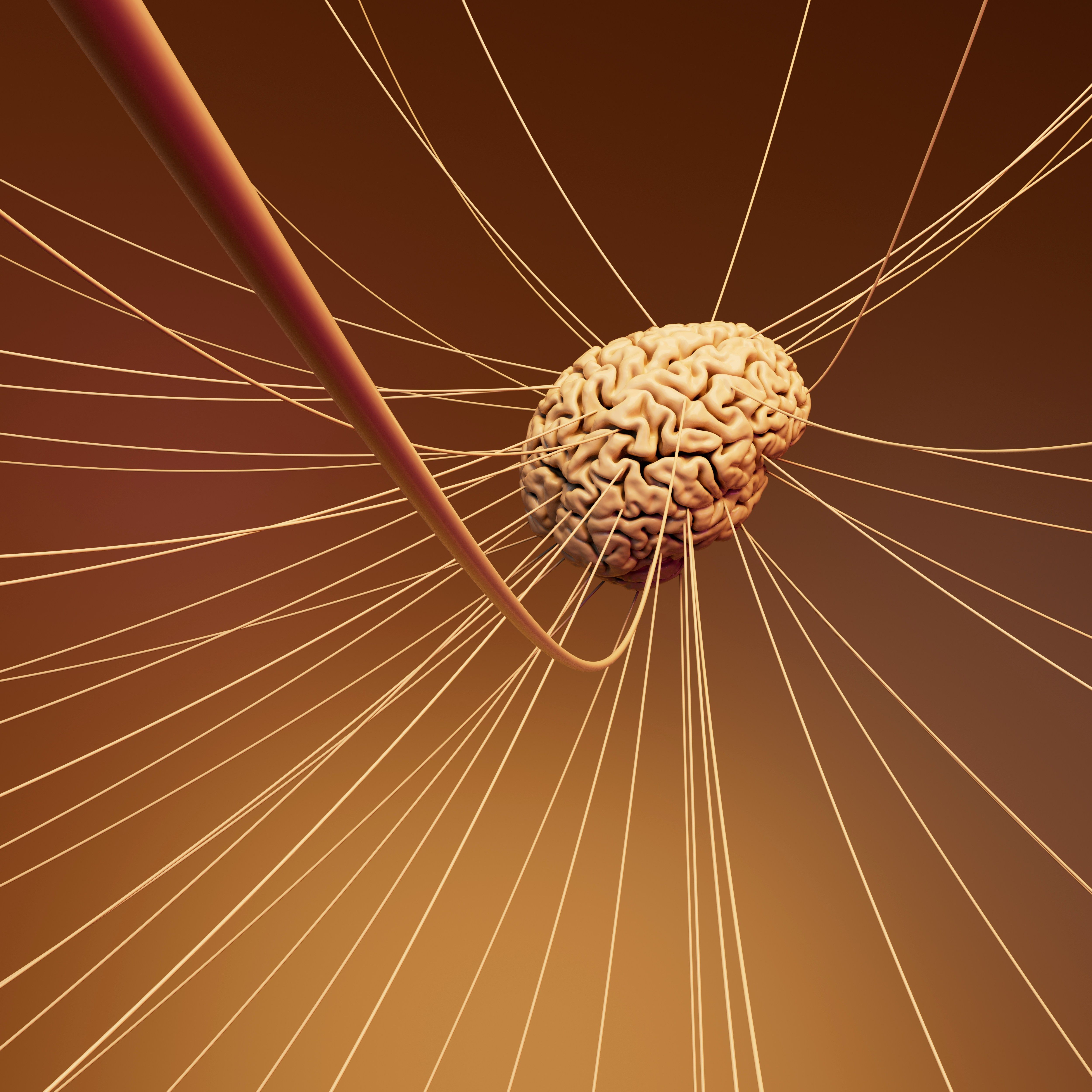 3D render of a human brain suspended by many thin strings against a warm brown and orange background