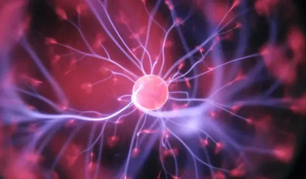 Visualization of the body recharging at the cellular level