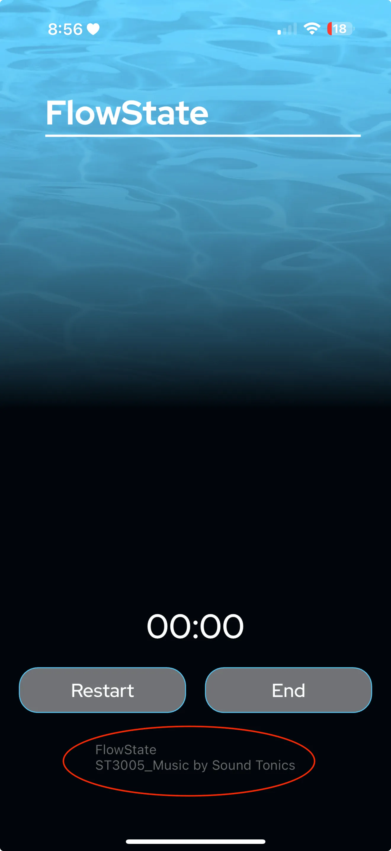 NuCalm player screen showing the program name below the Restart and End buttons